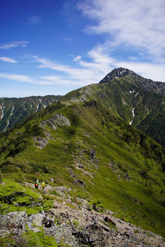 北岳へ向かう稜線(小太郎尾根分岐付近から)