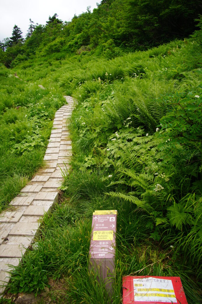 水平道分岐 まっすぐ行くと朝日小屋