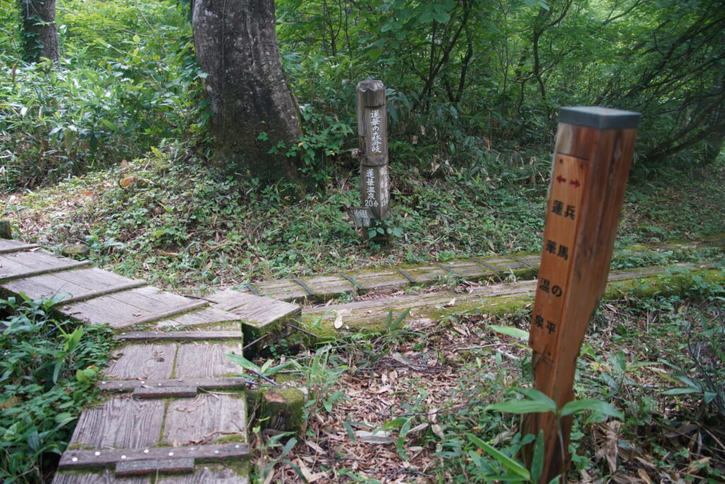蓮華の森分岐 夢中でくだったので汗だくです