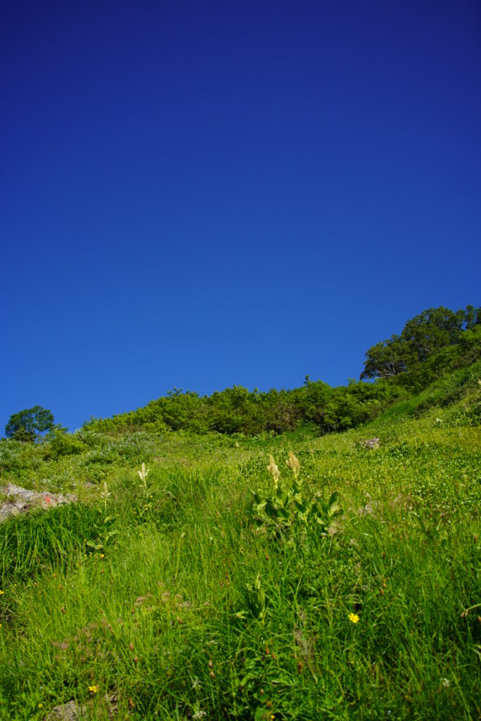 青空と緑 ザ・夏山って感じです