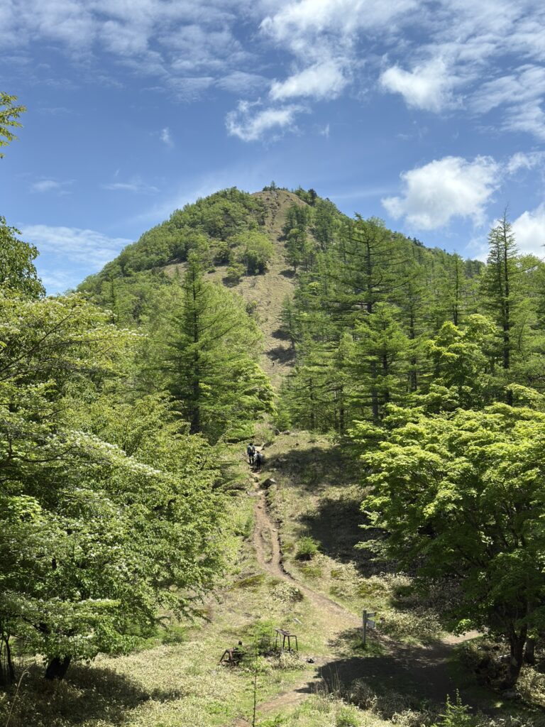 笠取山。登るのに躊躇する急坂。。