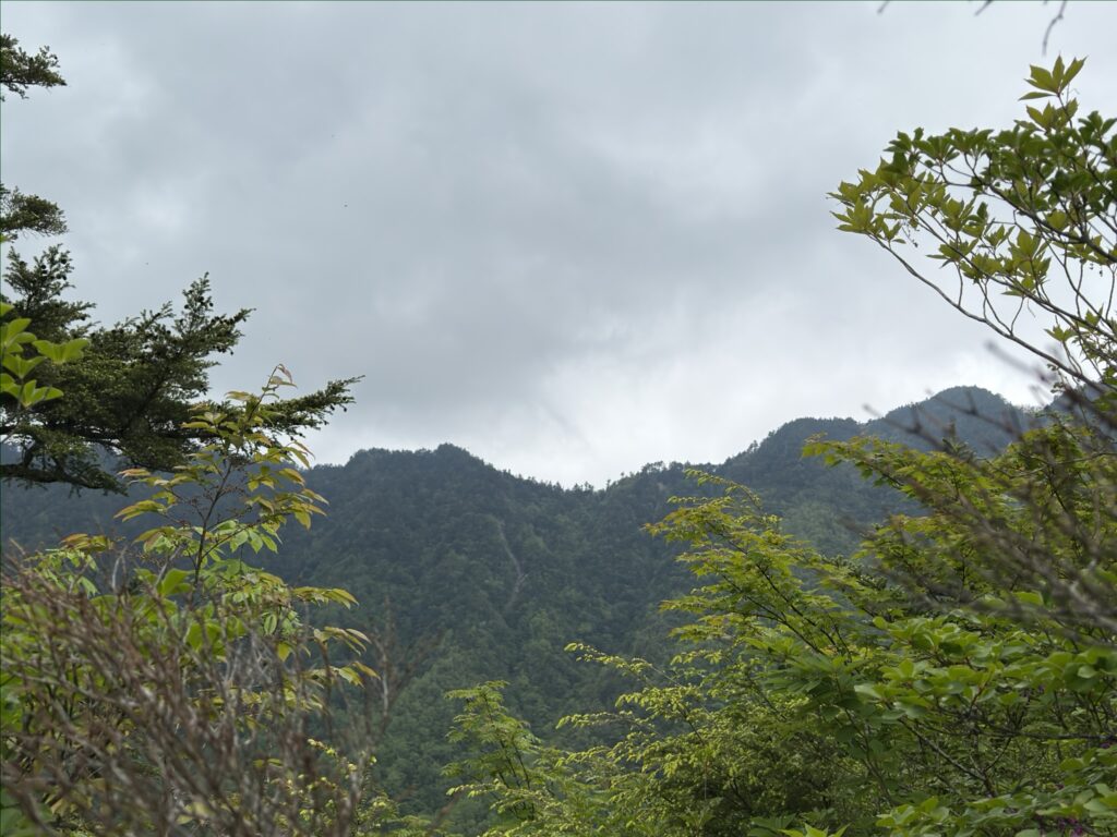 鶏冠尾根
