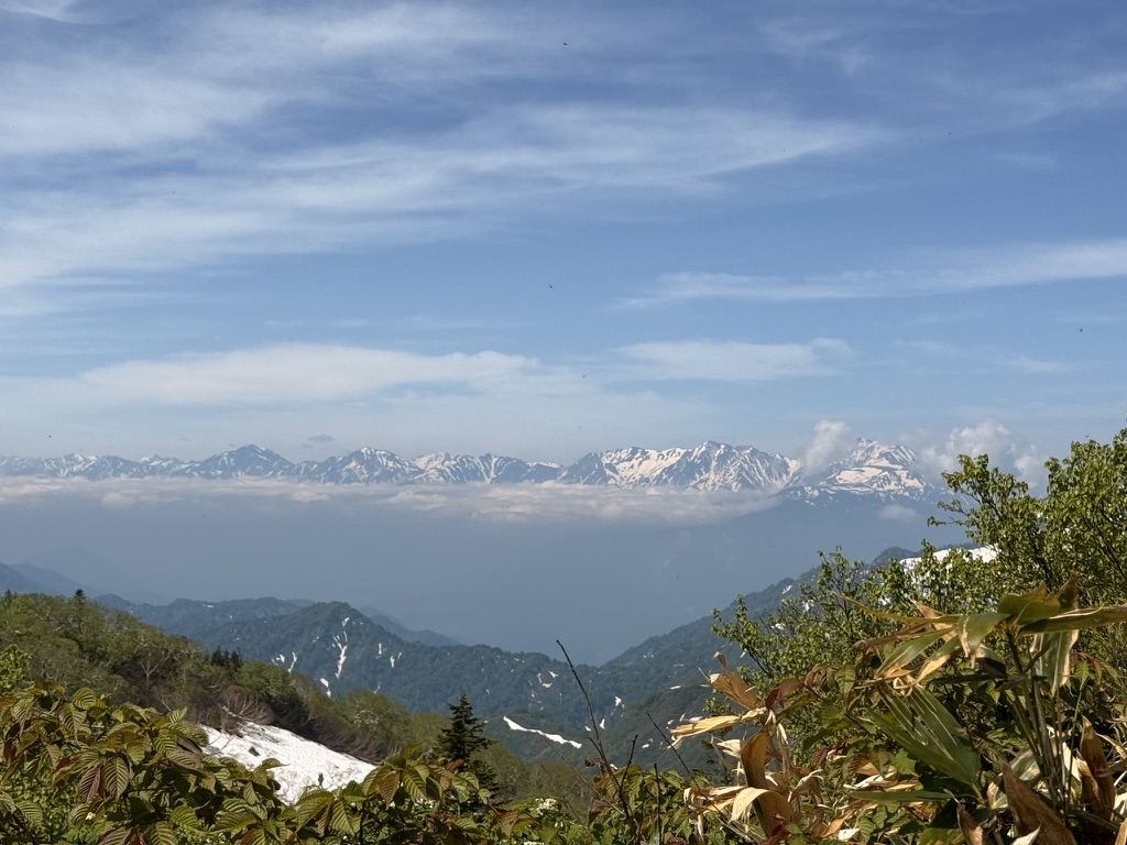 北アルプス 後立山連峰(ライチョウ平にて撮影)
