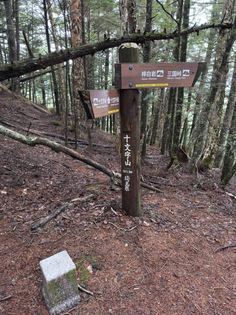峠から約15分で行ける十文字山(標高2071.9m)　