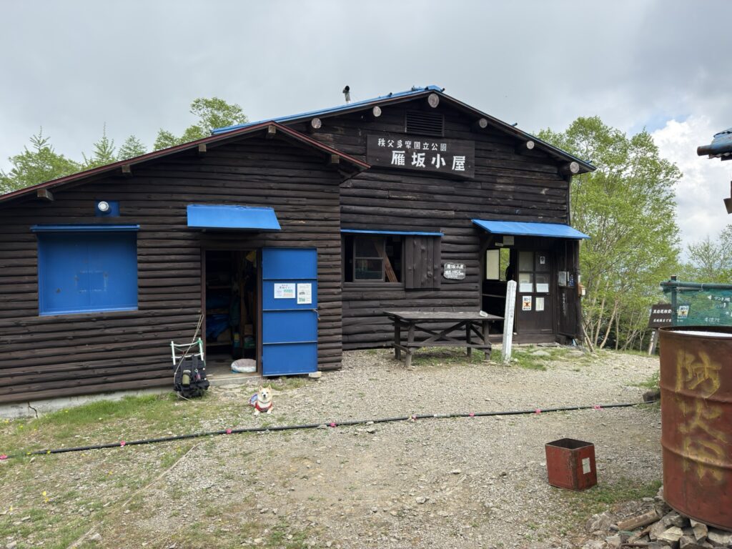雁坂小屋 ワンコがいる!