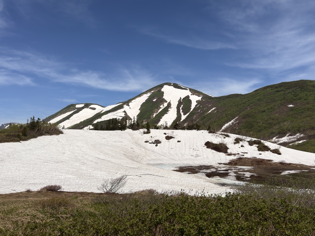 火打山 日本百名山・花の百名山 (天狗ノ庭から撮影)