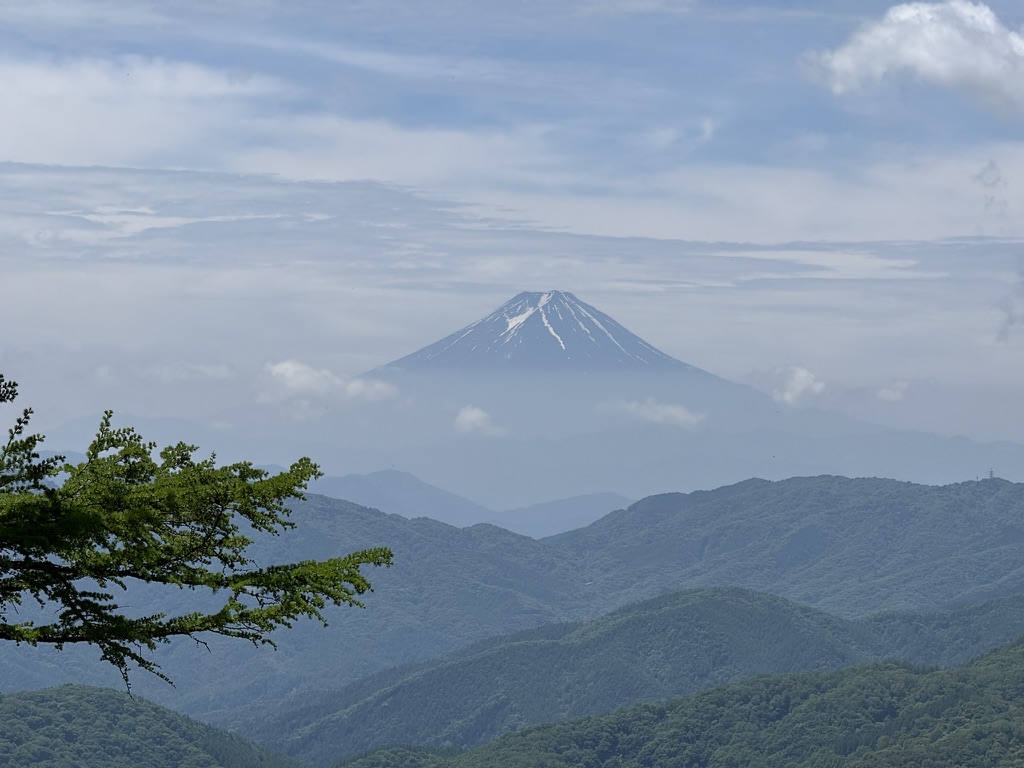 笠取山からの富士山