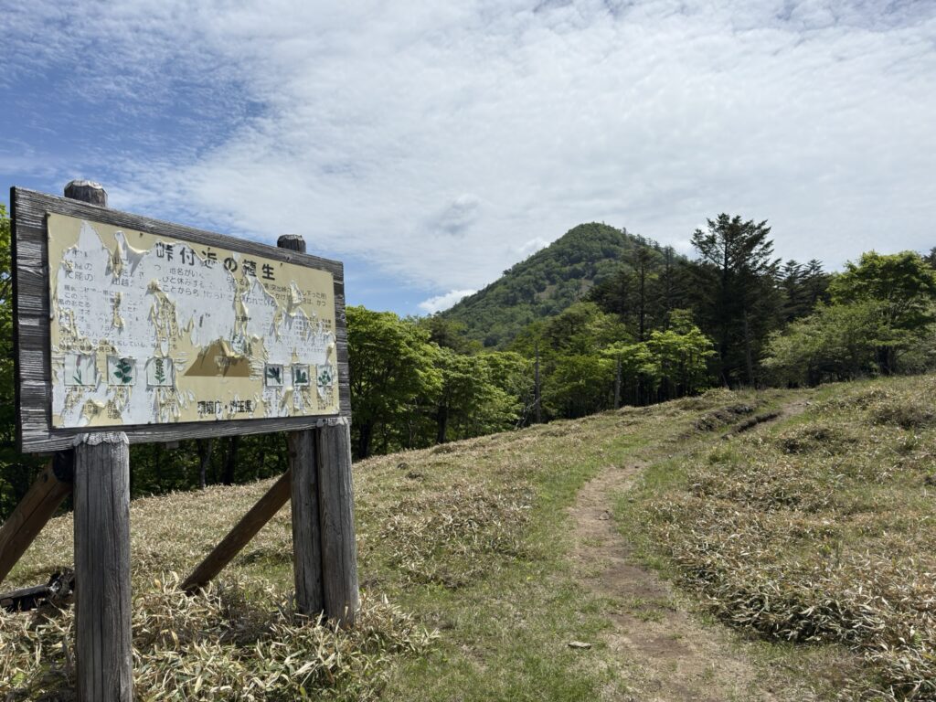 東に笠取山