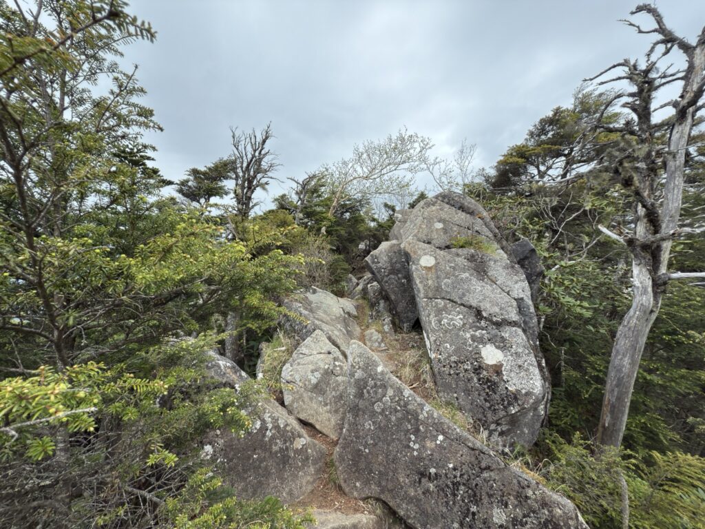岩場もあります