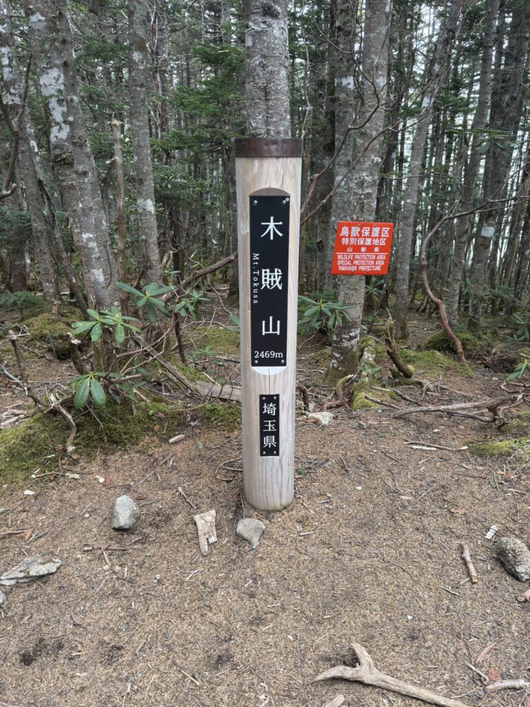 木賊山(標高2469m)小屋からの登りは、ザレ場と岩場があって大変。。