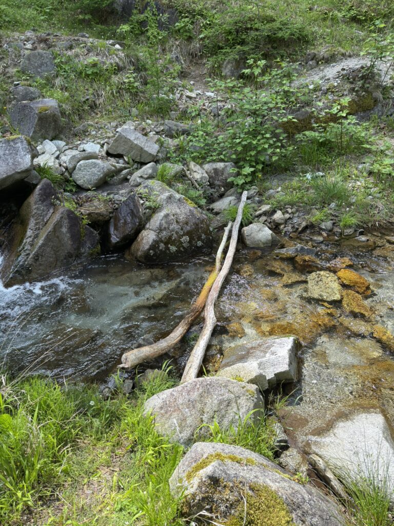 渡渉の目印 スベる石、多いです⚠️