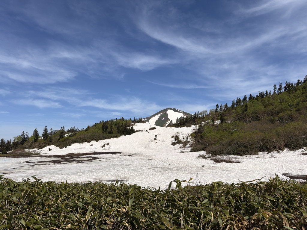 残雪が残る6月の火打山