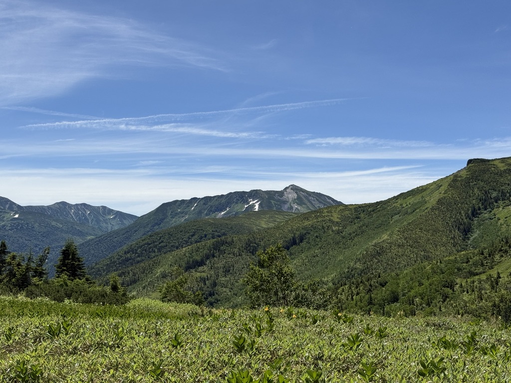 黒部五郎岳 晴天の連休って最高!(太郎兵衛平で撮影)