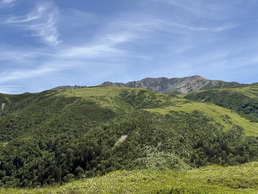 奥の薄茶色っぽい山が薬師岳(五光岩ベンチ付近で撮影)