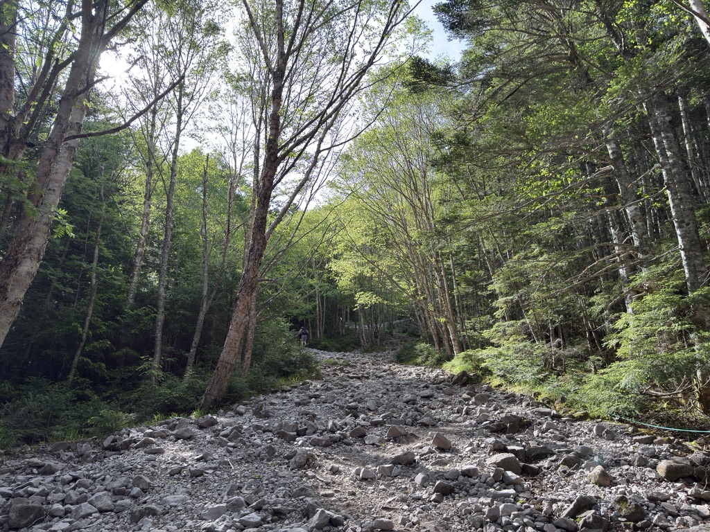 登山道には石がゴロゴロ。。転ばないように注意