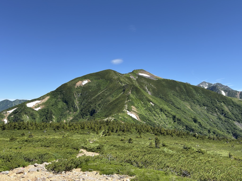 越中沢越まで下り、見上げる鳶山(越中沢乗越で撮影)