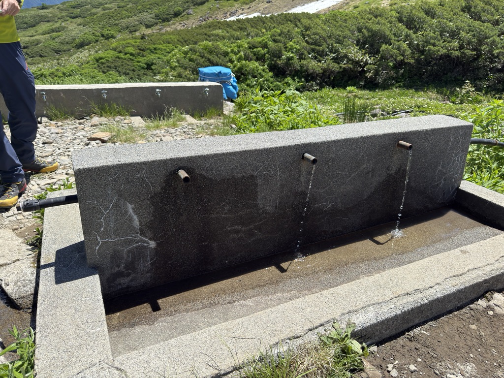 水場、よく出ています。明日出なくなるのをまだ知る由もない。。(五色ヶ原テント場で撮影)