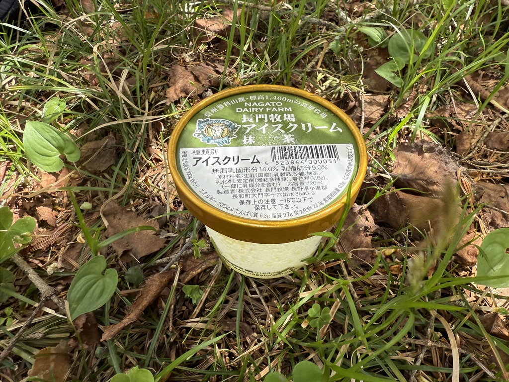 蓼科山荘で長門牧場の抹茶アイス(500円)購入。カッチカチに冷えていたので溶かしてからいただきました