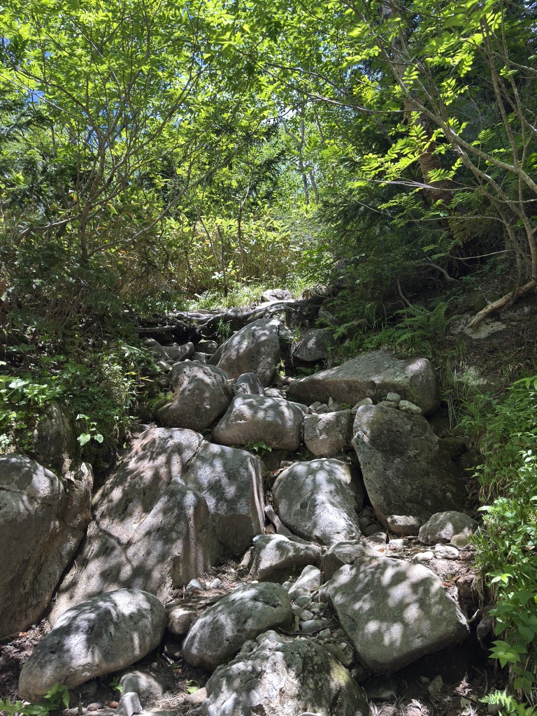 大岩よじ登り 約30分急登です(薬師峠付近で撮影)