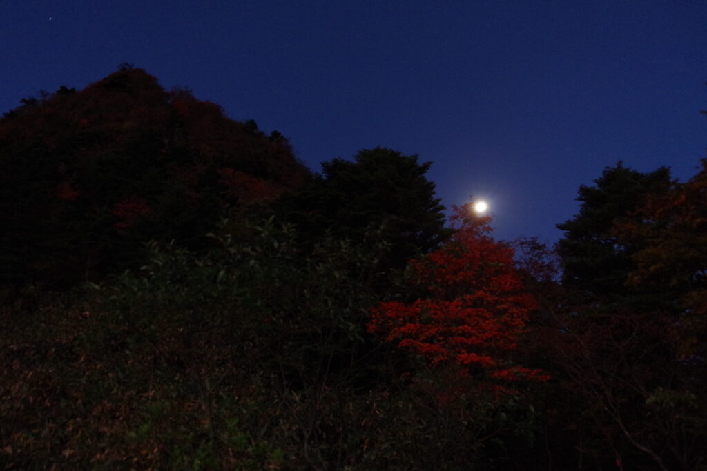 月明かりのおかげで少し紅葉が見れます(ニノ鎖元小屋と山頂の間で撮影)