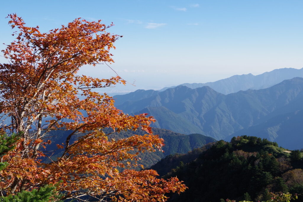 来る時は見えなかった、紅葉が素晴らしい(石鎚山頂とニノ鎖元小屋の間で撮影)