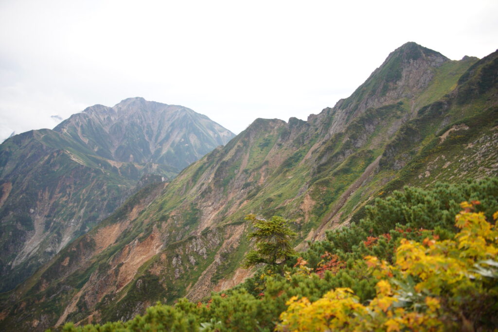 八方尾根から見る五竜岳(八方尾根から撮影)