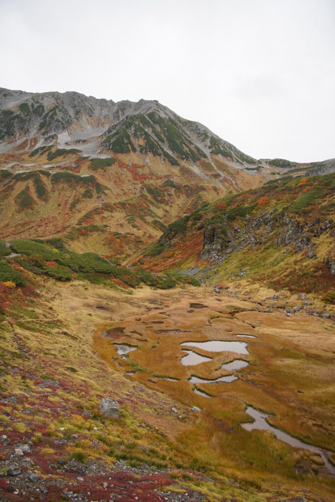 草紅葉の血の池と立山(雄山)(室堂・血の池で撮影)