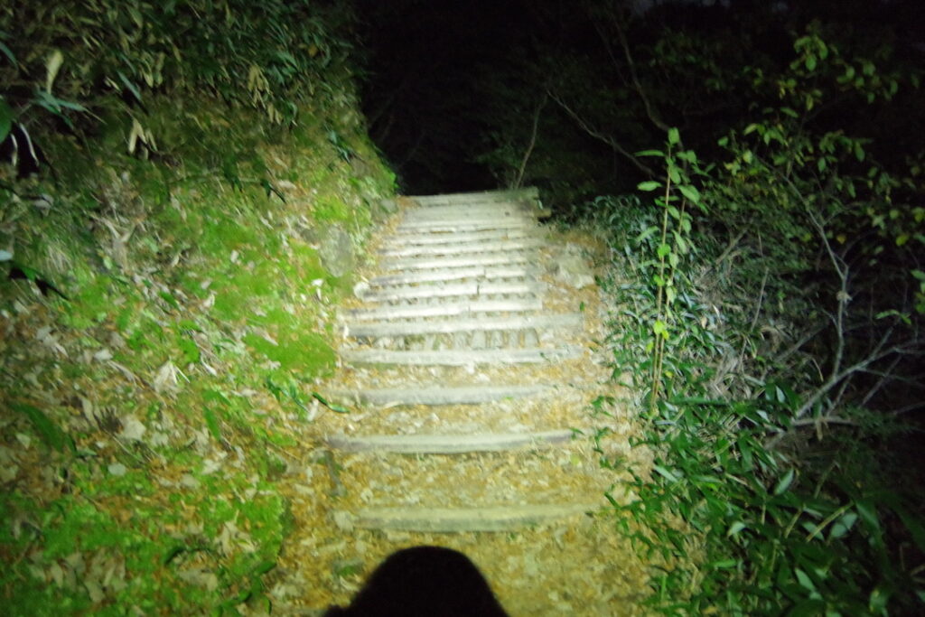夜中の登山道 ヘッドランプの明かりが頼りです(土小屋周辺で撮影)