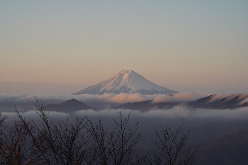 富士山と雲海（日の出時刻で茜色の富士山）雲取山で撮影