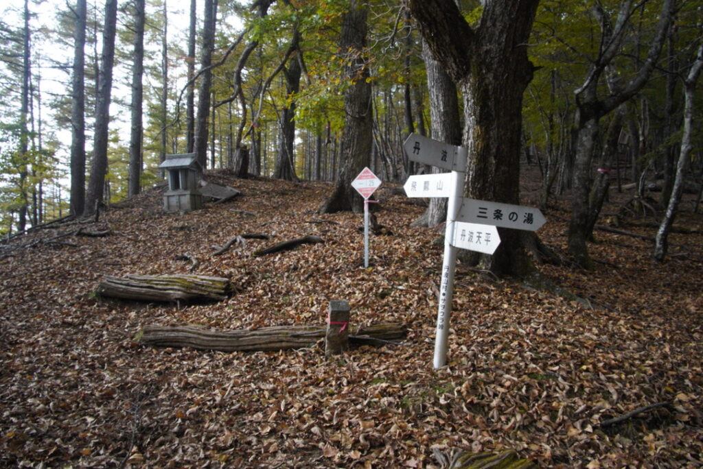 サオラ峠　４方向の交差点です（サオラ峠で撮影）