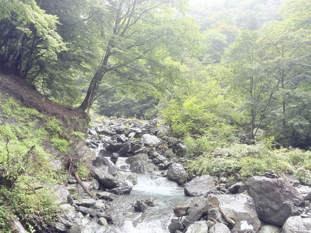 この日は前日の雨で水量が多かった（広河原で撮影）