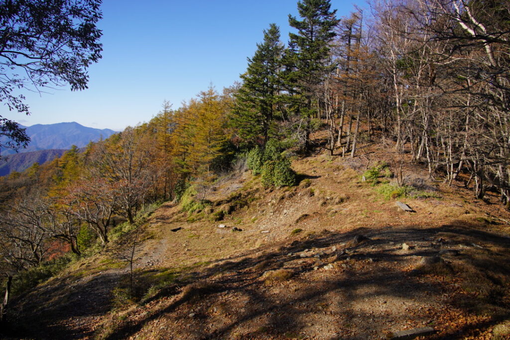三条ダルミ分岐　左が三条ノ湯、まっすぐが飛龍山（三条ダルミで撮影）