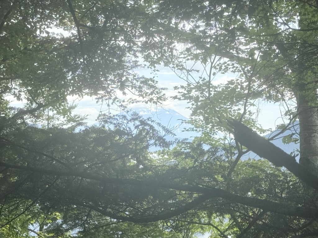 富士の裾野が見えた！山頂は雲がかかってます（広河原から桧横手山の間で撮影）