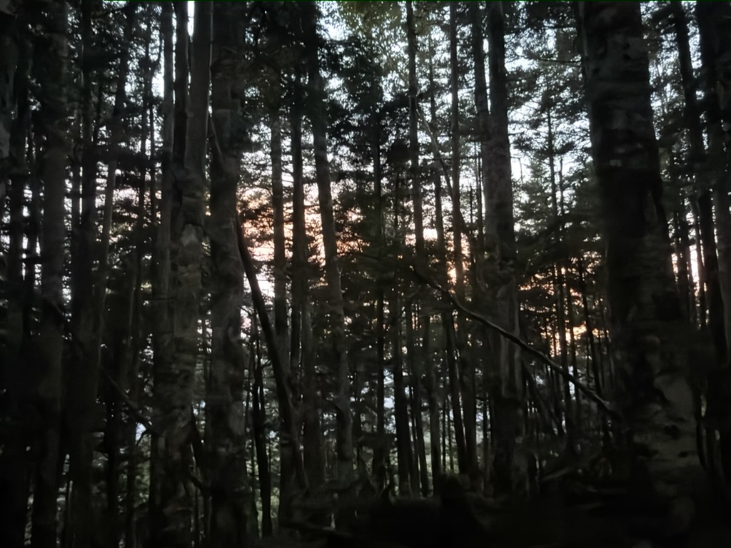 午後6時。木々の間から夕焼けがうっすら（桧横手山で撮影）