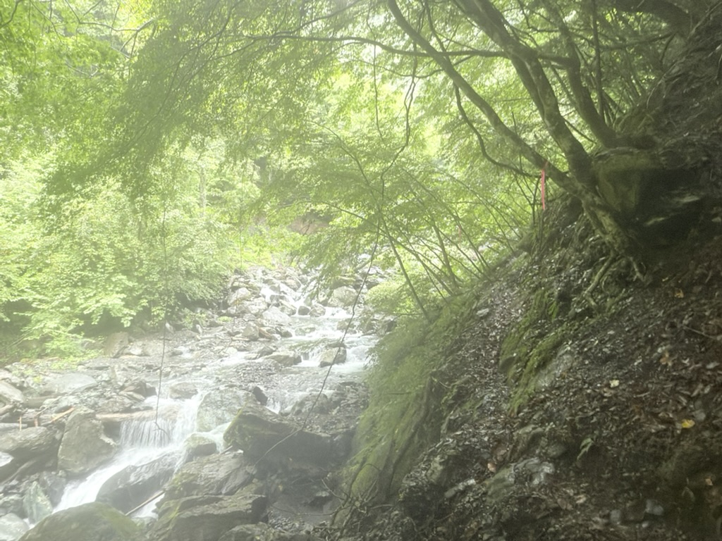 この辺りまで来たら広河原は近い（老平登山口から広河原の間で撮影）