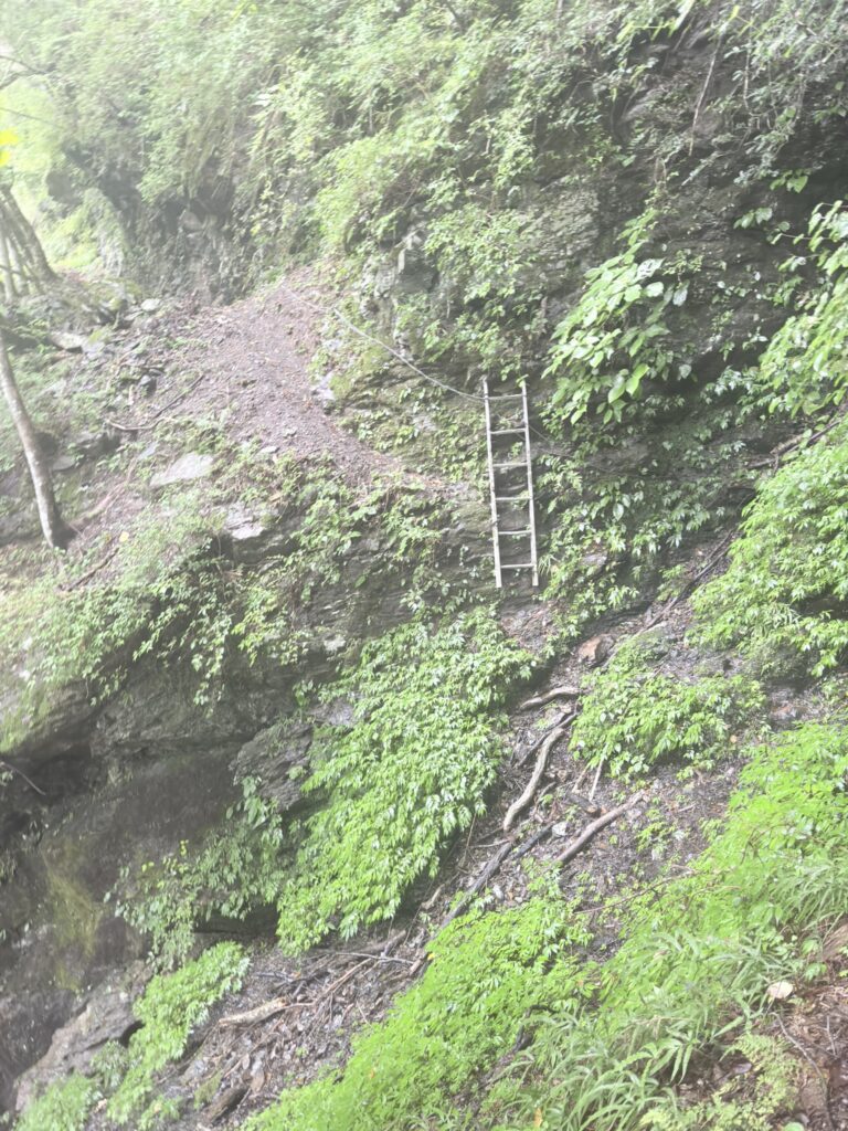 一歩一歩慎重に。はしごは簡単に動くので重心には気をつけて（老平登山口から広河原の間で撮影）
