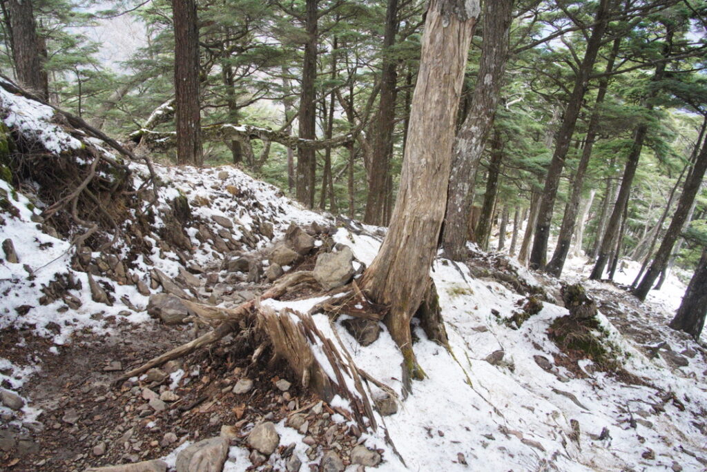 北側斜面には雪が残っていました（雲取山と雲取山荘の間で撮影）