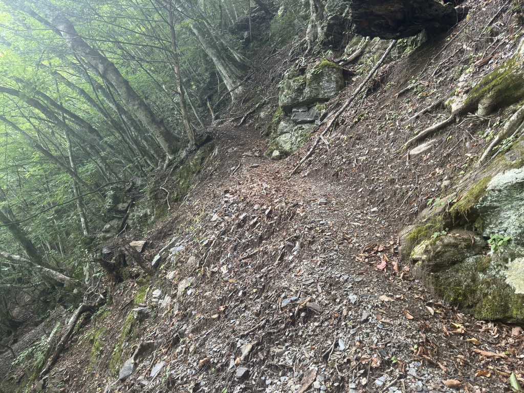 単調な急登って地獄だよ。。（広河原から桧横手山の間で撮影）