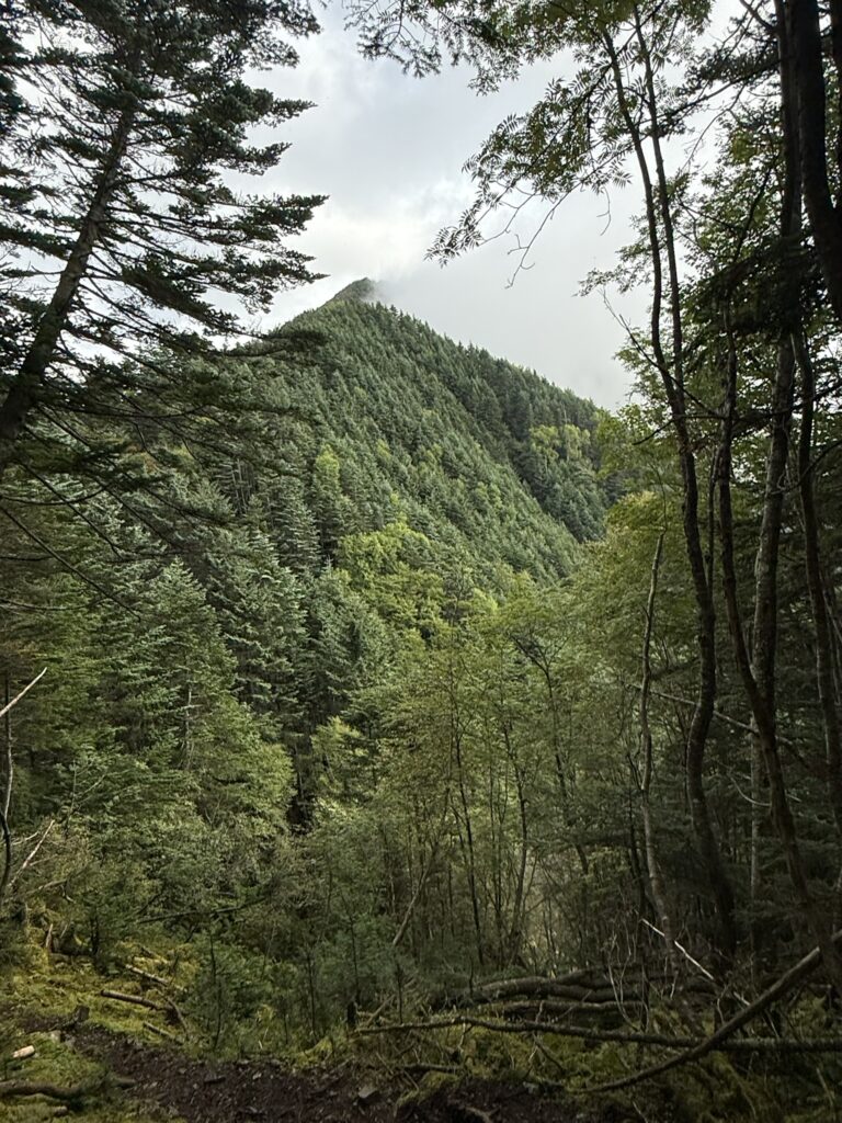 上側に見えるのが山が笊ヶ岳です（布引山から笊ヶ岳の間で撮影）