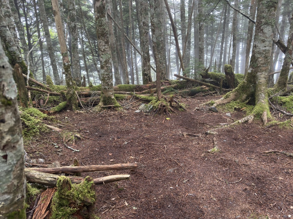 撤収した桧横手山の幕営地。布引山の方が広かったです（桧横手山テント場で撮影）