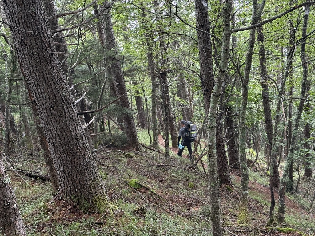 急坂を下るのは、足がしんどいですよね（桧横手山から広河原の間で撮影）
