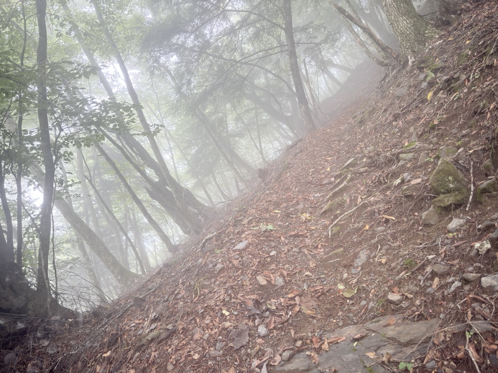 写真だと斜度がわかりづらいですが、急登です！（広河原から桧横手山の間で撮影）