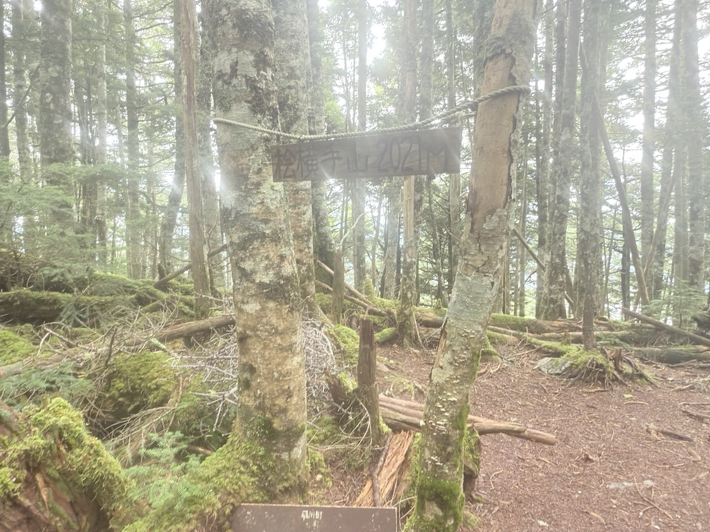 桧横手山（標高2021m）　スマホレンズが汗で汚れてて、写真見づらい。。（桧横手山で撮影）