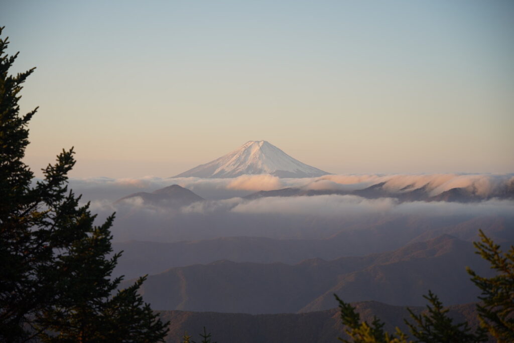 朝日に照らされる富士山（雲取山の山頂で撮影）