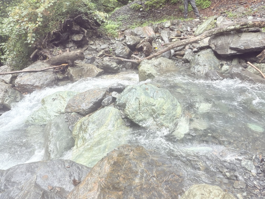 この石を渡って行きました（広河原で撮影）