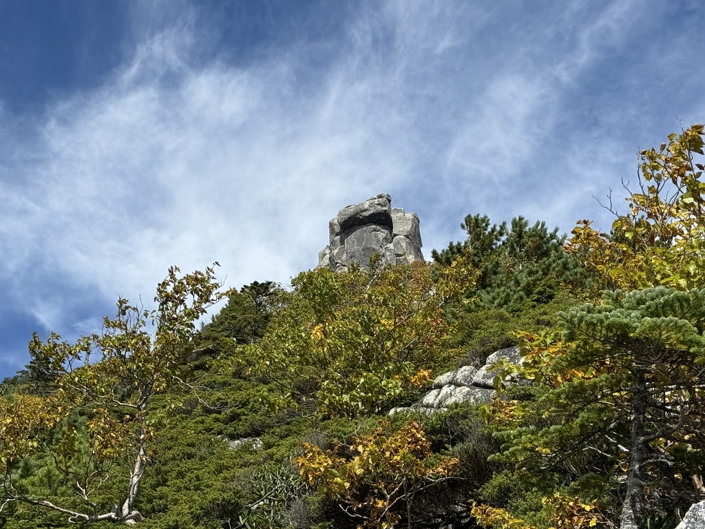 近くまで来た！（金峰山　山頂直下で撮影）