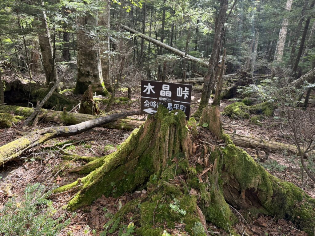 水晶峠　ここで一休みするも良し（水晶峠で撮影）