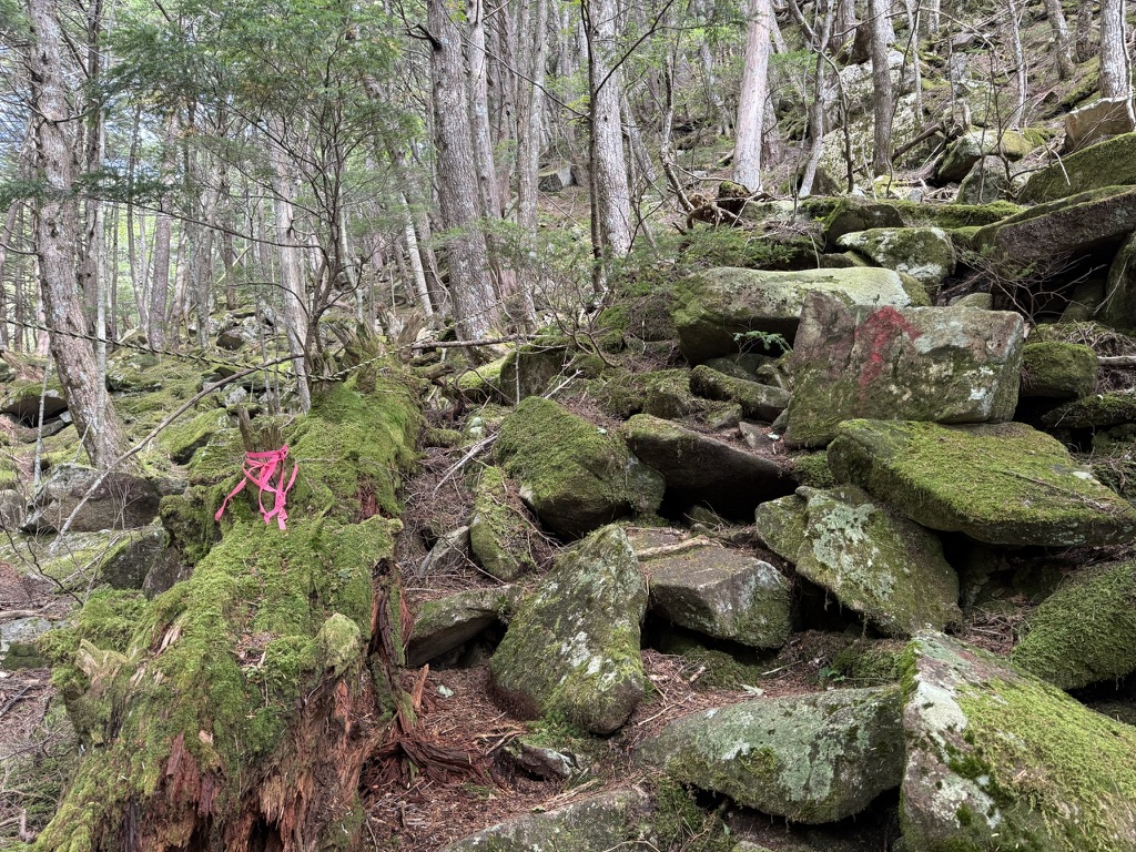 苔むした石を横目に登っていきます（金峰山・御嶽古道で撮影）