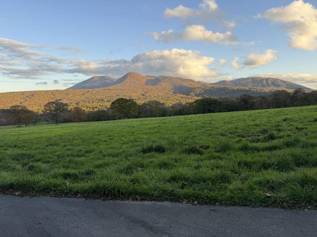 林道まで降りてきました🎉(戸隠牧場付近で撮影)
