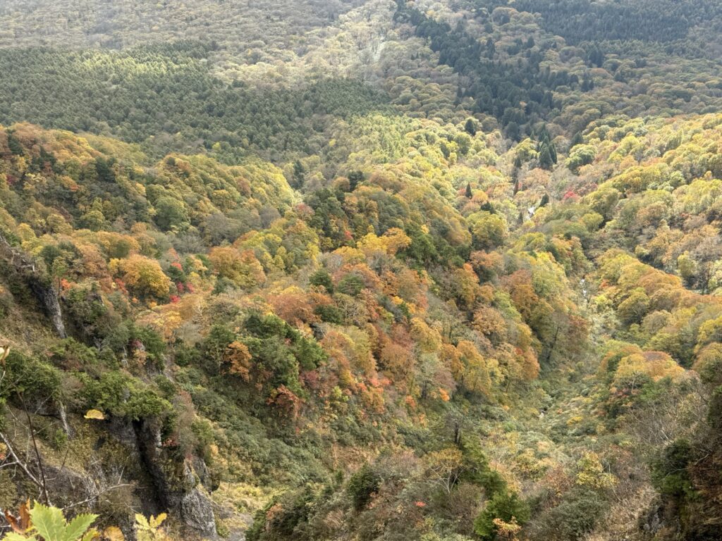 紅葉はずっと素晴らしい👌(戸隠山から九頭龍山の間で撮影)